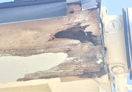 Close-up of dry rot damage on the exterior of a building, showing significant wood deterioration.