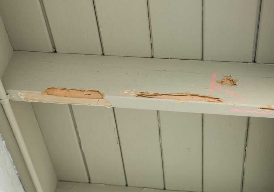 An example of dry rot on beams under eaves.